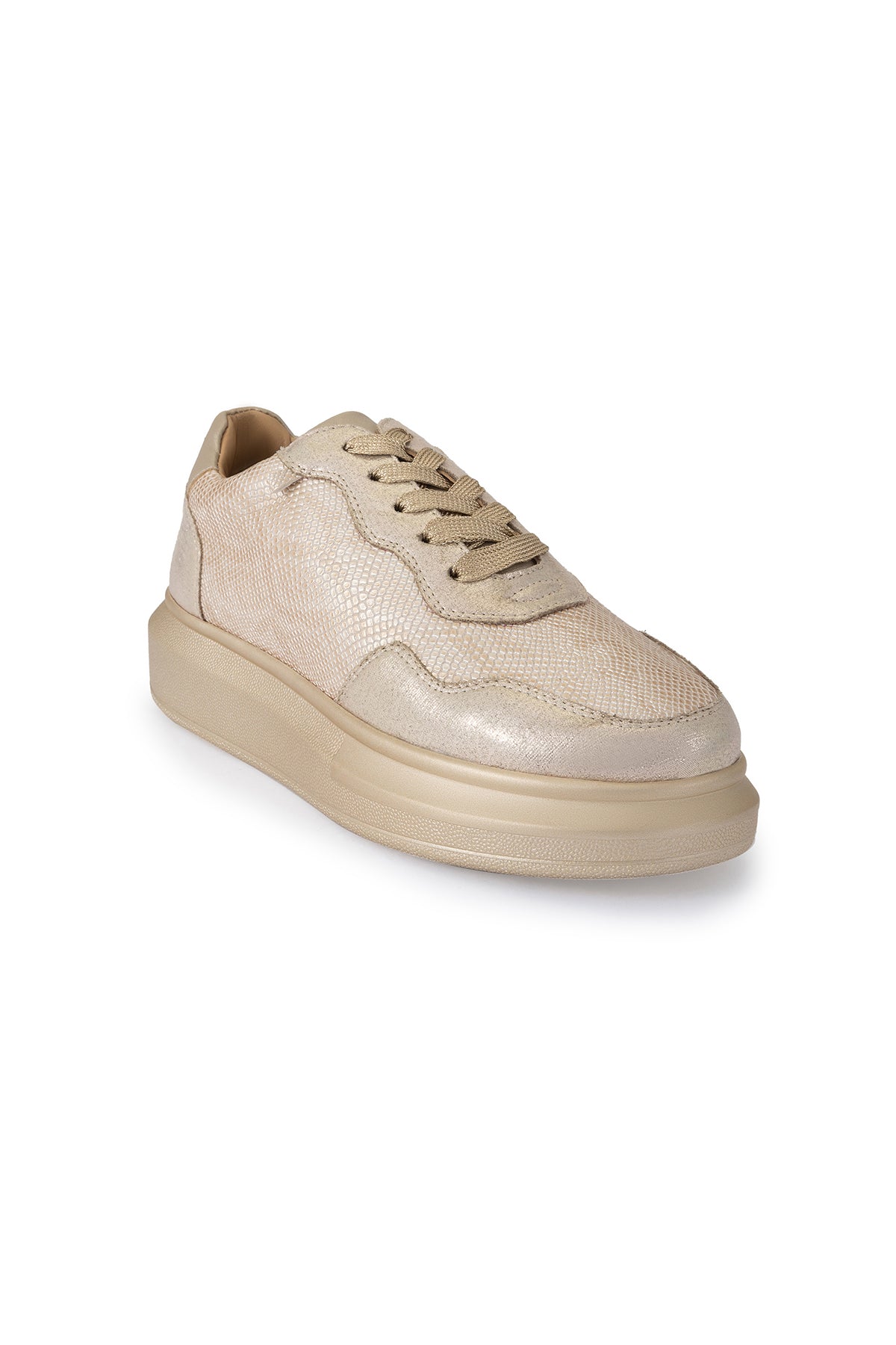 Groove Classic Sneakers With Champagne Golds Colour